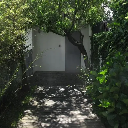 A In A Sunny House